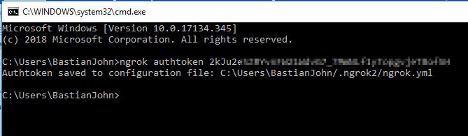 ngrok authtoken