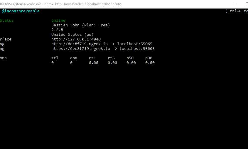 ngrok localhost