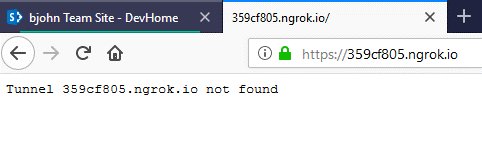 ngrok not found