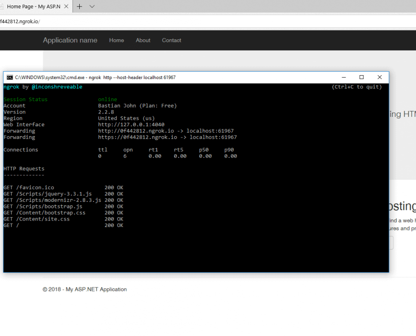 ngrok application successfully